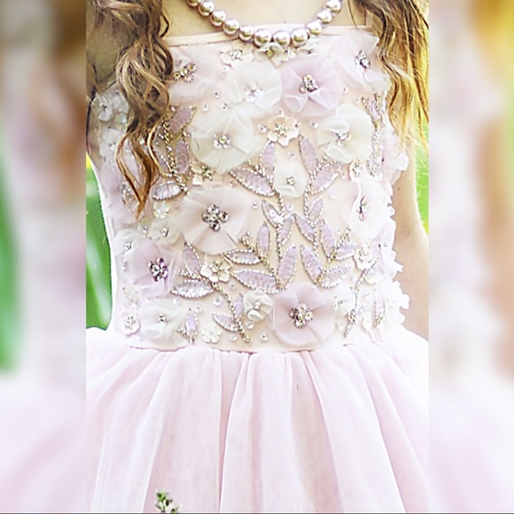 Ooh La La! Pink Secret Garden Dress